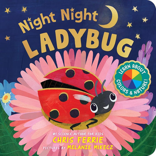 Night Night Ladybug cover image
