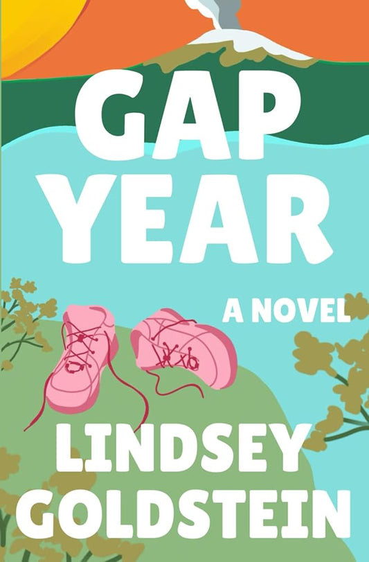 Gap Year: A Novel cover image
